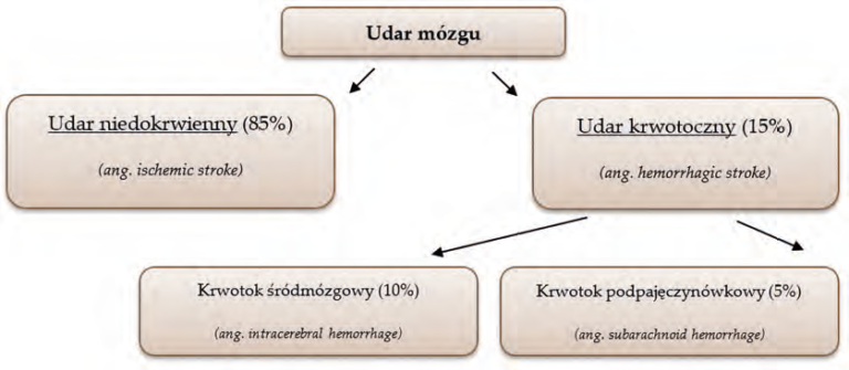 Metody obrazowania udaru niedokrwiennego mózgu w fazie ostrej